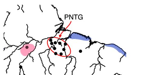 Sự kiện Bất Khắc Dẫn Đến Sự Trỗi Dậy Của Nền Văn Minh Tupi: Chiến Tranh Giữa Xingu và Tocantins Trong Thế Kỷ 10